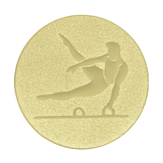 Emblém  gymnastika, pr. 25 mm, bronz